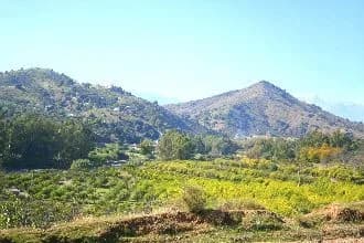 6 Bedroom Detached Villa for Sale in Coín, Málaga - Image 9