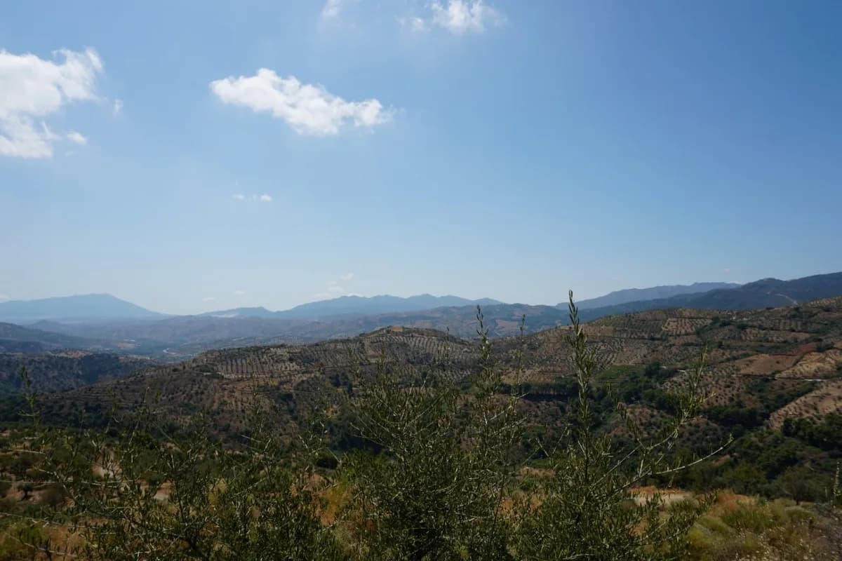 3 Bedroom Finca - Cortijo for Sale in Yunquera, Málaga - Image 4