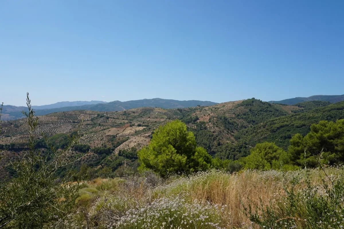 3 Bedroom Finca - Cortijo for Sale in Yunquera, Málaga - Image 9