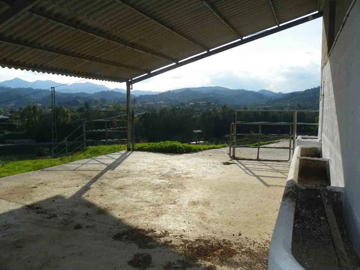 6 Bedroom Finca - Cortijo for Sale in Coín, Málaga - Image 8
