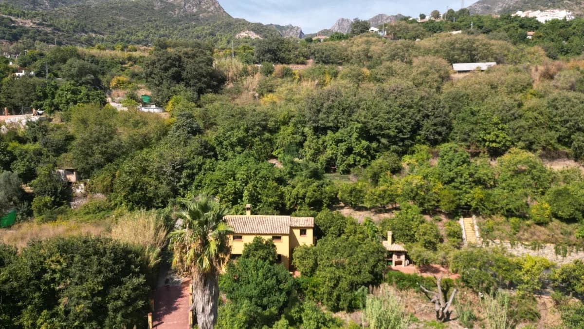3 Bedroom Finca - Cortijo for Sale in Ojén, Málaga - Image 5