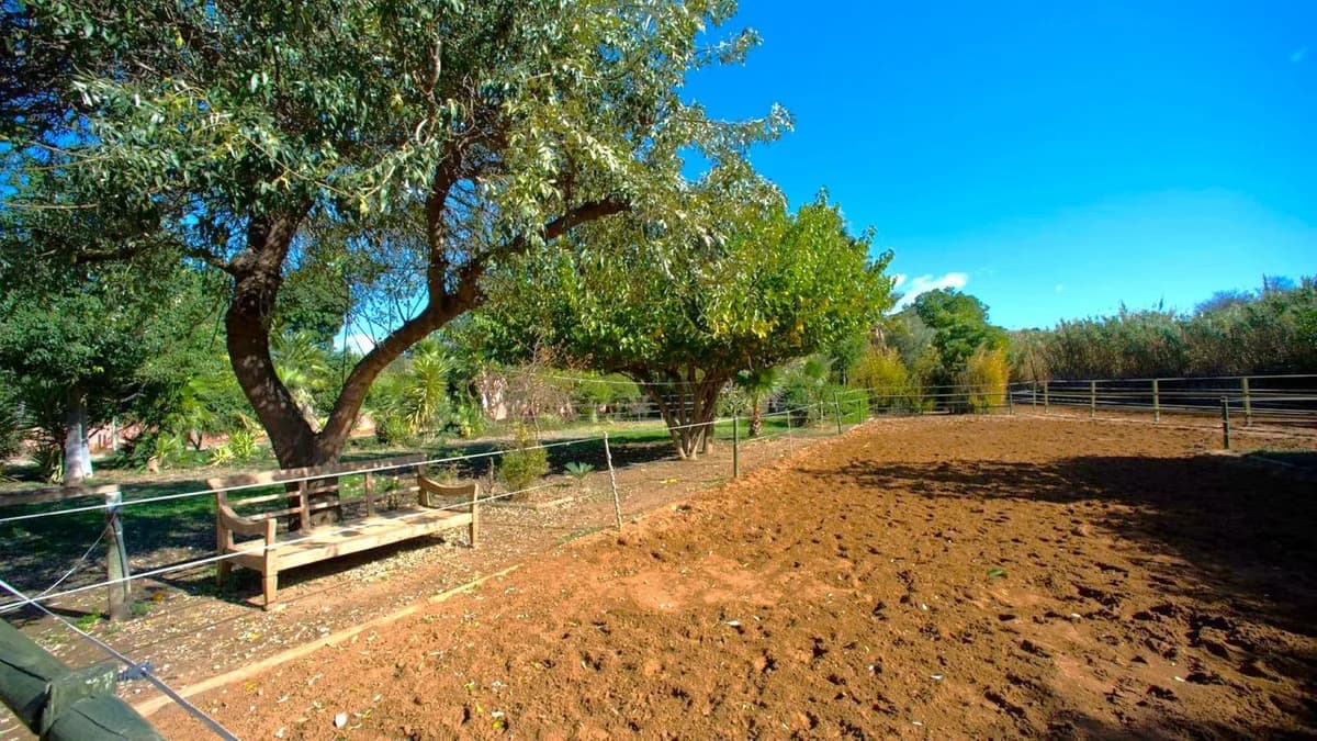 3 Bedroom Finca - Cortijo for Sale in Estepona, Málaga - Image 2