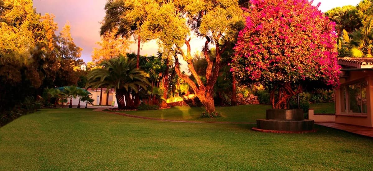 6 Bedroom Detached Villa for Sale in Elviria, Málaga - Image 7