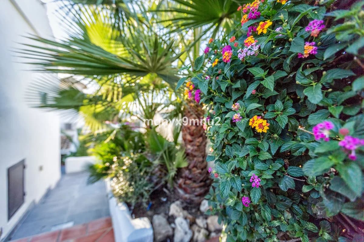 5 Bedroom Detached Villa for Sale in El Chaparral, Málaga - Image 7