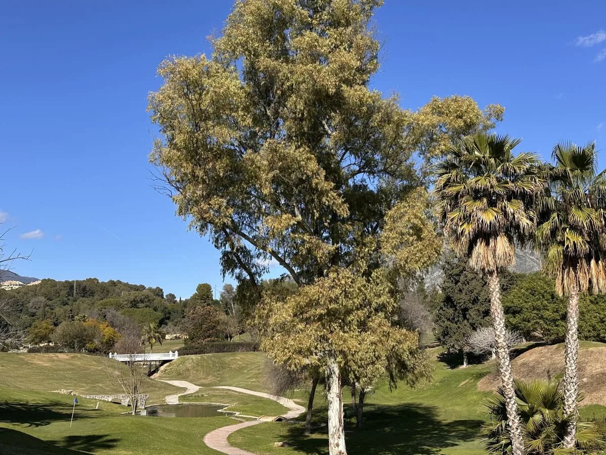 4 Bedroom Townhouse for Sale in Aloha, Málaga - Image 9