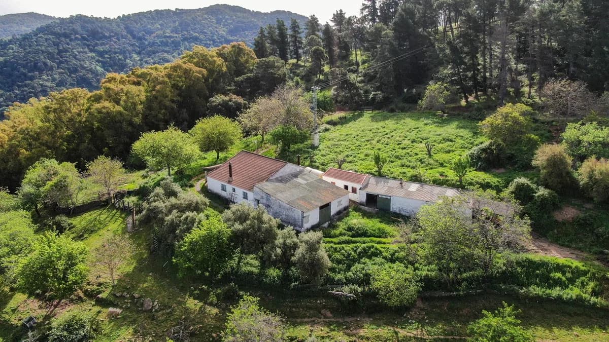 3 Bedroom Finca - Cortijo for Sale in Gaucín, Málaga - Image 4