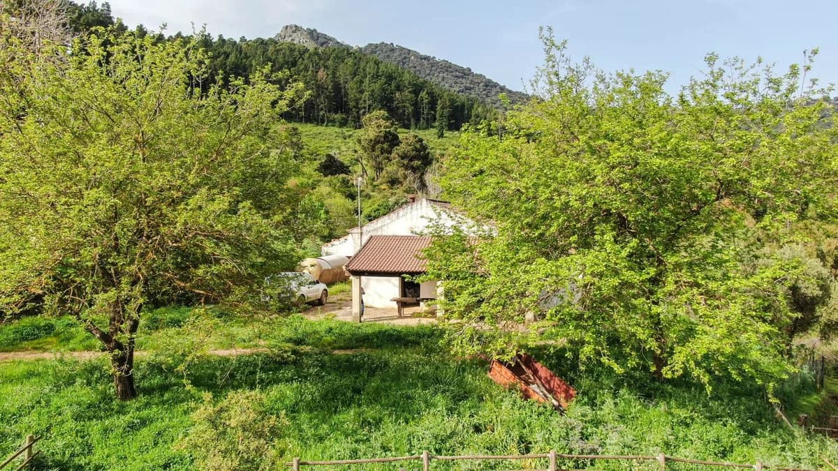 3 Bedroom Finca - Cortijo for Sale in Gaucín, Málaga - Image 9
