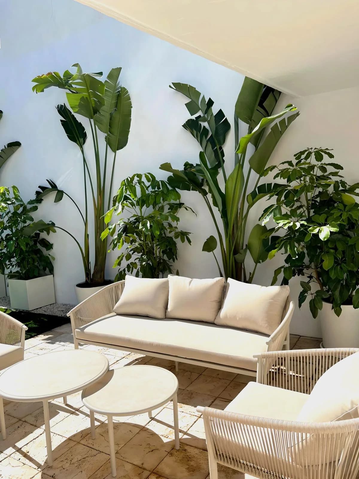 3 Bedroom Ground Floor Apartment for Sale in Nueva Andalucía, Málaga - Image 2