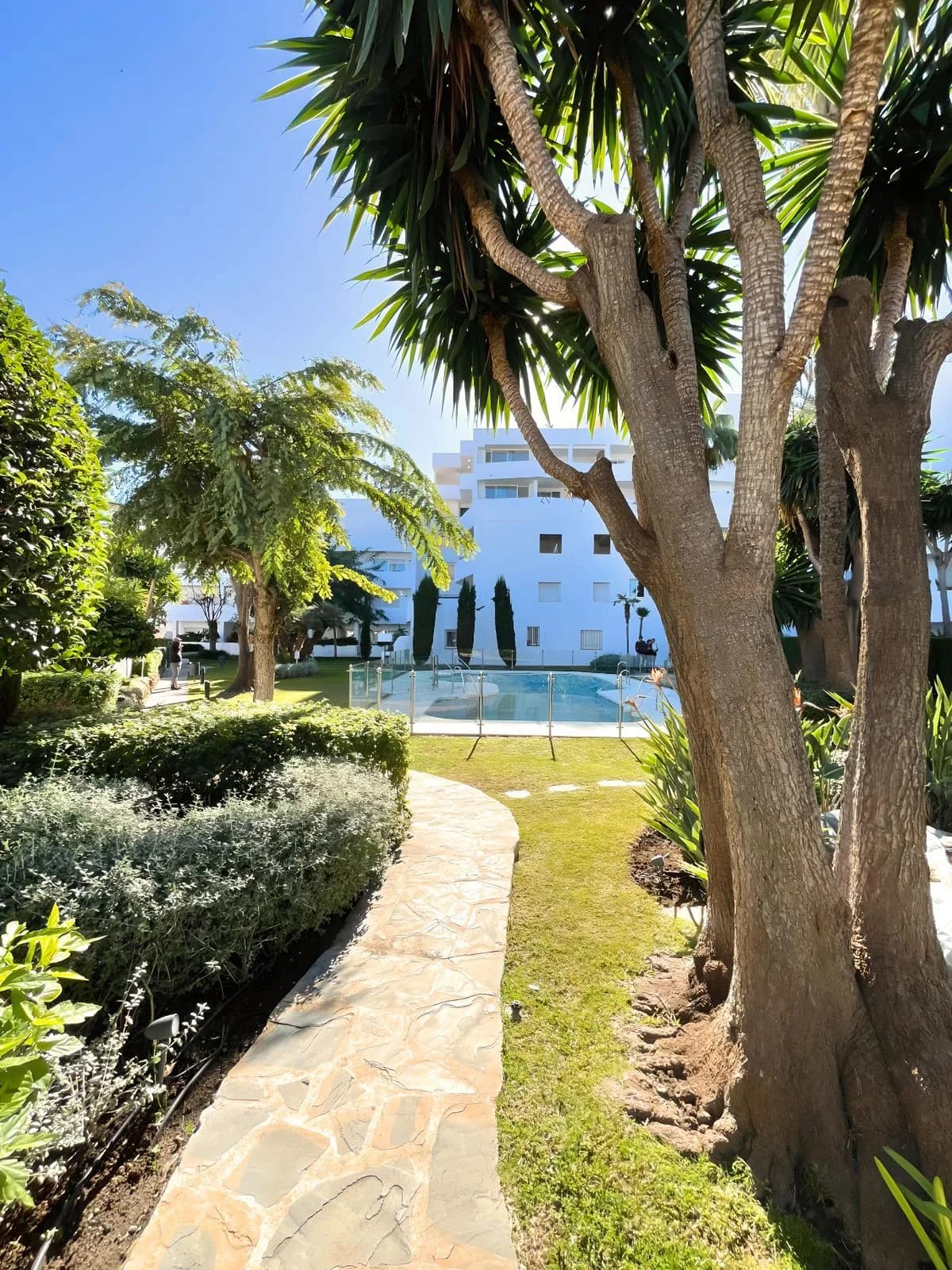 3 Bedroom Ground Floor Apartment for Sale in Nueva Andalucía, Málaga - Image 6
