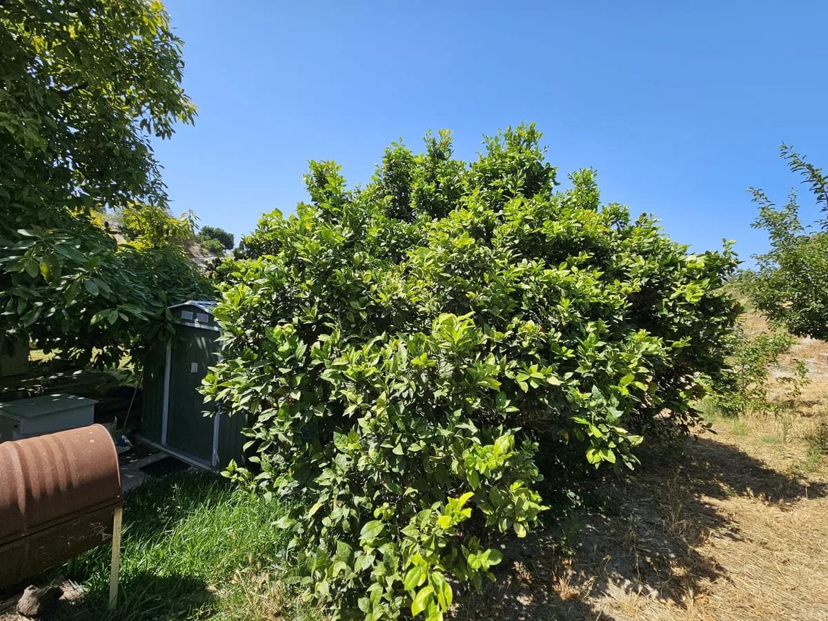2 Bedroom Detached Villa for Sale in Casares, Málaga - Image 9