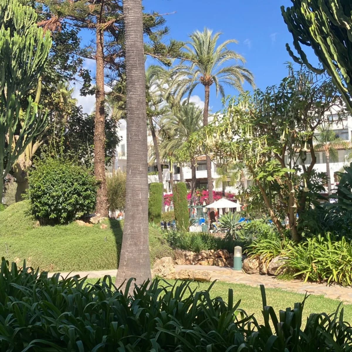 3 Bedroom Ground Floor Apartment for Sale in Puerto Banús, Málaga - Image 7