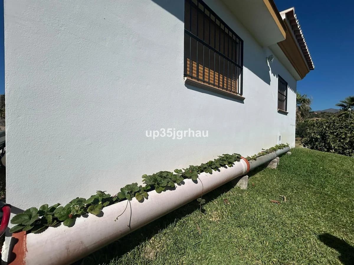 1 Bedroom Finca - Cortijo for Sale in Estepona, Málaga - Image 6