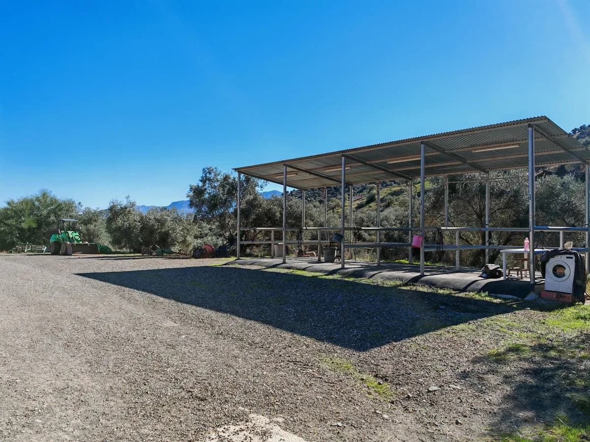 12 Bedroom Finca - Cortijo for Sale in Coín, Málaga - Image 6