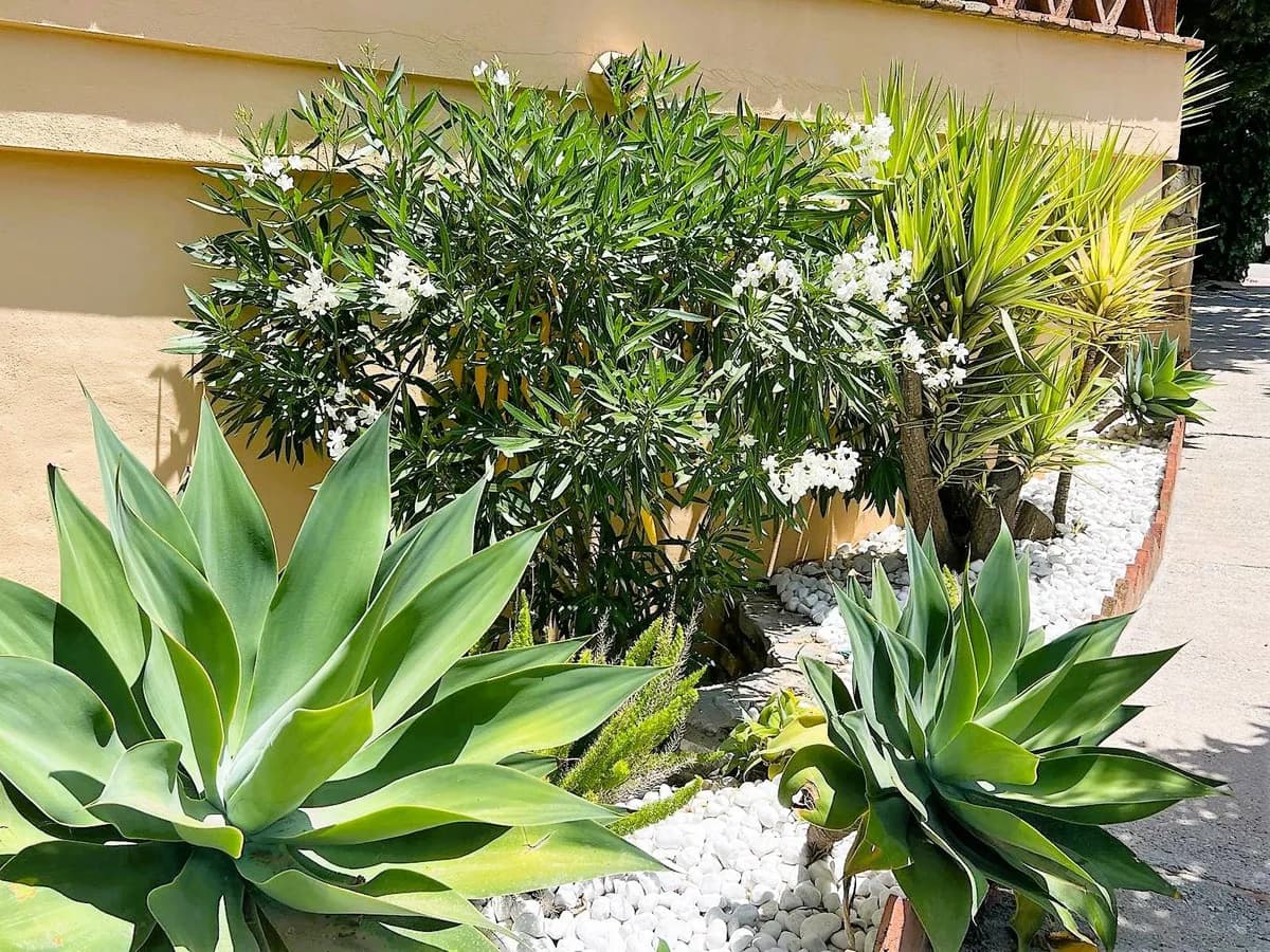 2 Bedroom Middle Floor Apartment for Sale in Calahonda, Málaga - Image 7