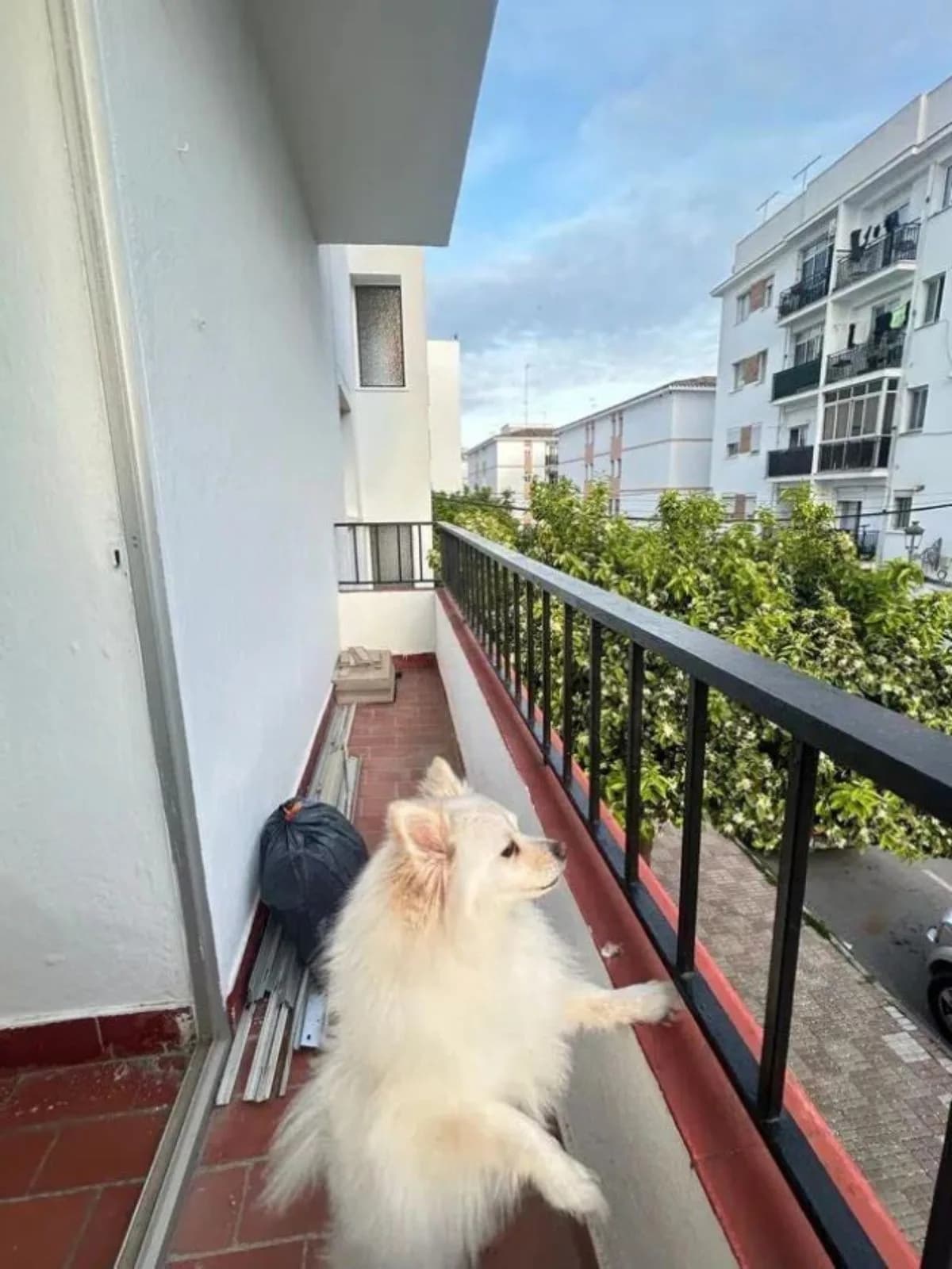 3 Bedroom Middle Floor Apartment for Sale in Estepona, Málaga - Image 9