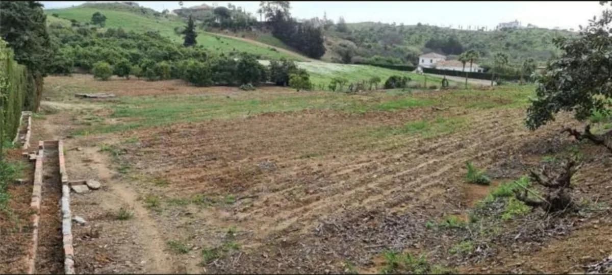 3 Bedroom Finca - Cortijo for Sale in Campo Mijas, Málaga - Image 2