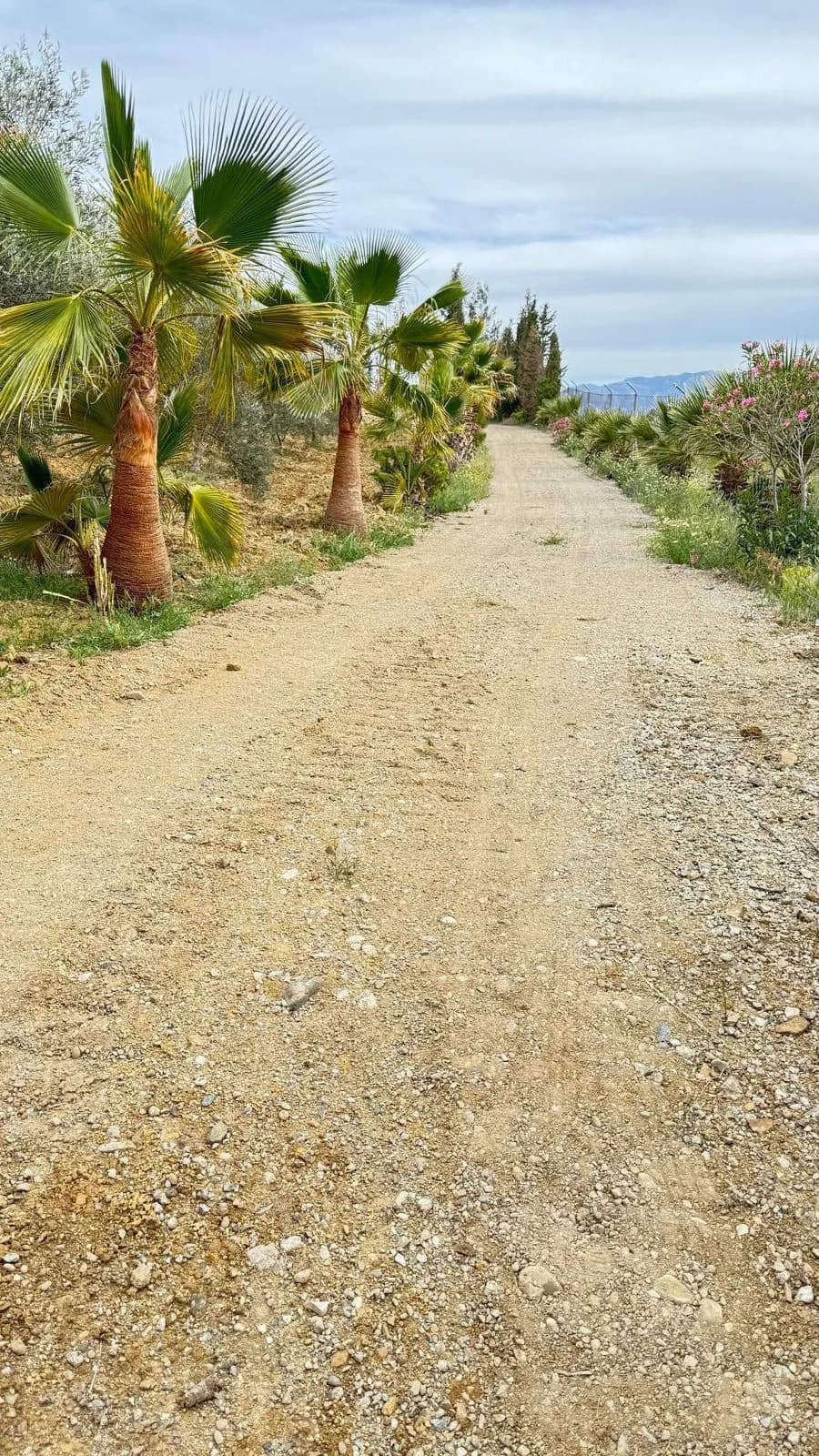 3 Bedroom Finca - Cortijo for Sale in Marbella, Málaga - Image 3