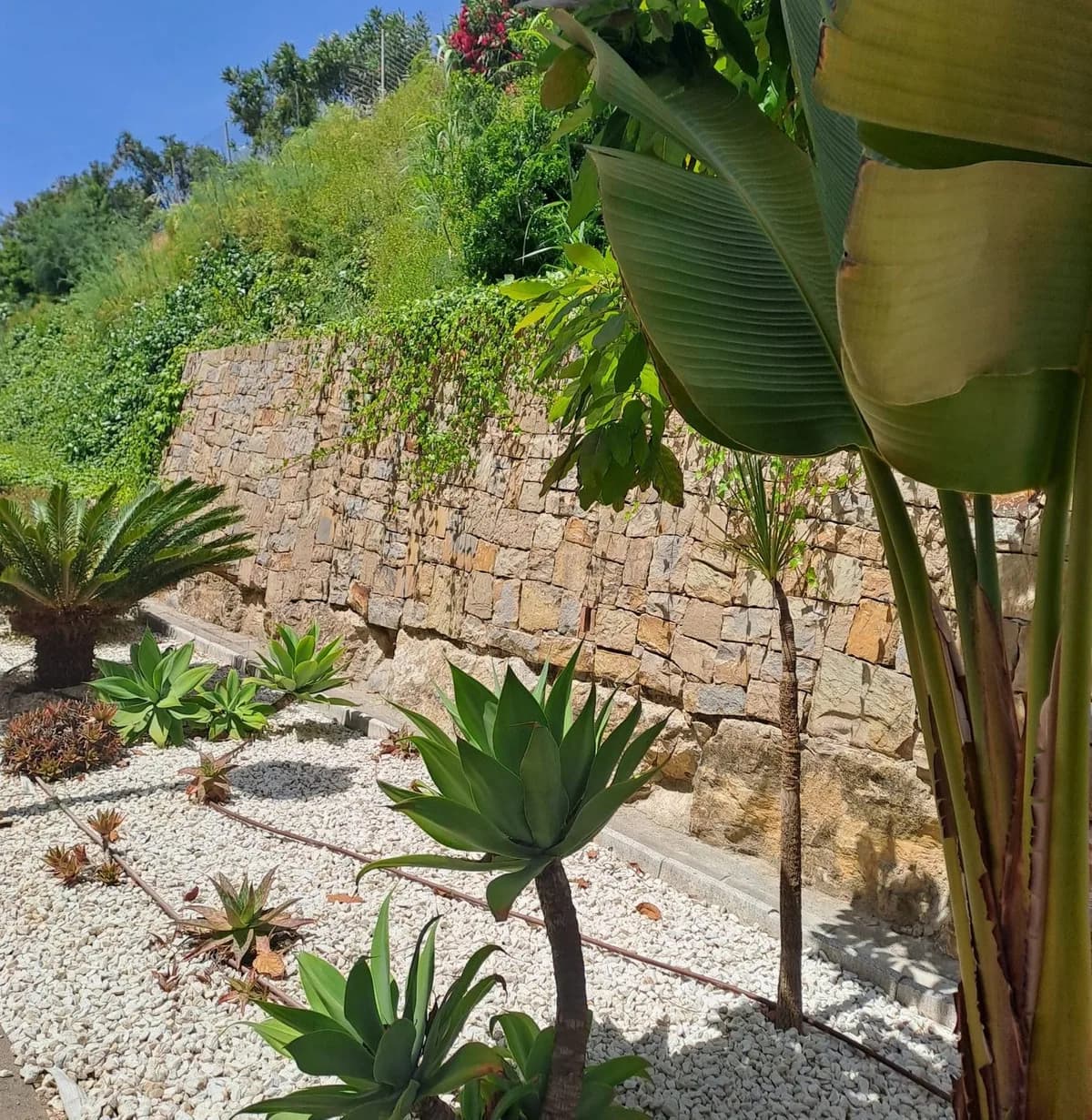 2 Bedroom Ground Floor Apartment for Sale in Casares Playa, Málaga - Image 4