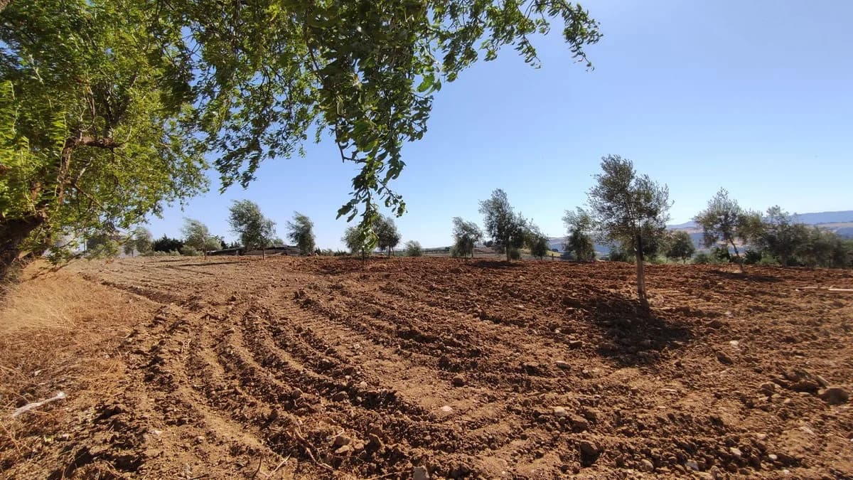 4 Bedroom Finca - Cortijo for Sale in Ronda, Málaga - Image 9