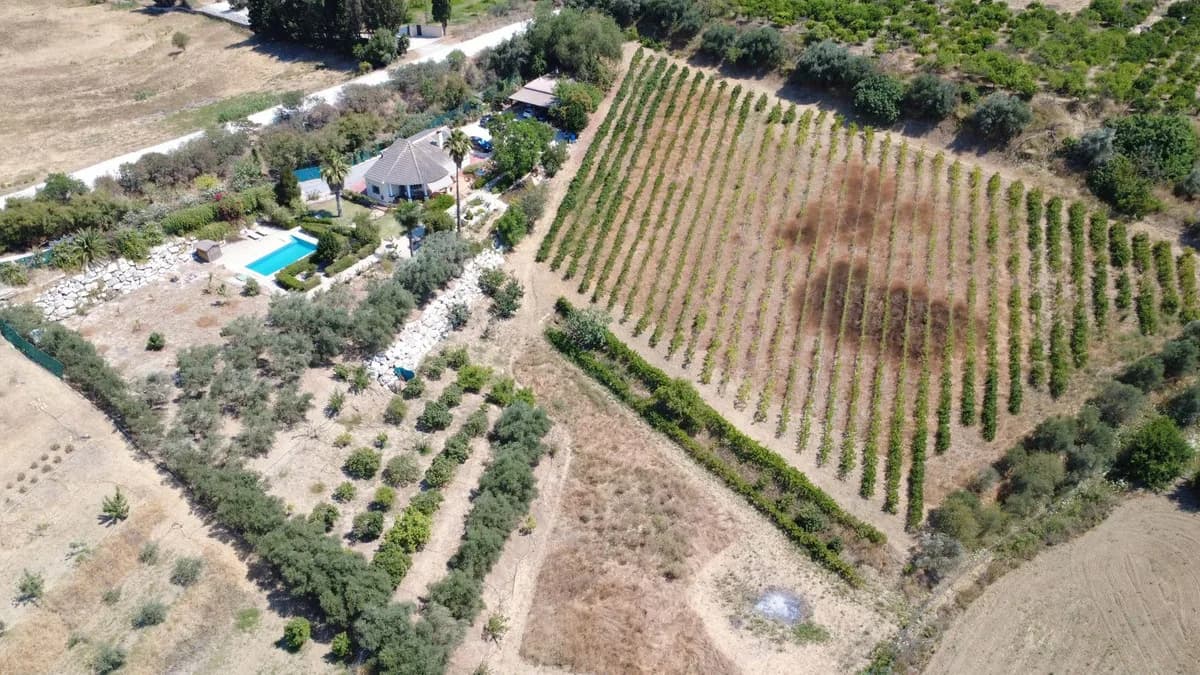 3 Bedroom Finca - Cortijo for Sale in Alhaurín el Grande, Málaga - Image 4