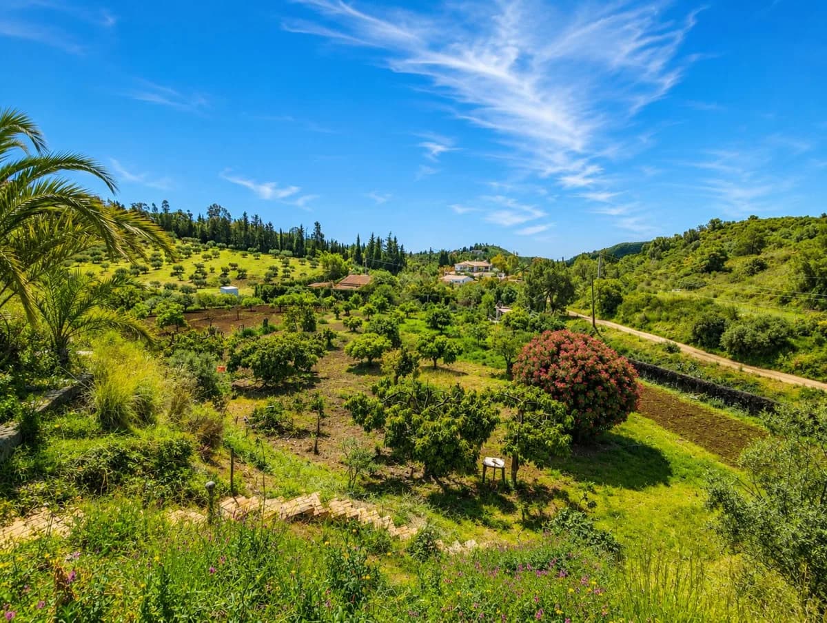 6 Bedroom Finca - Cortijo for Sale in Estepona, Málaga - Image 3