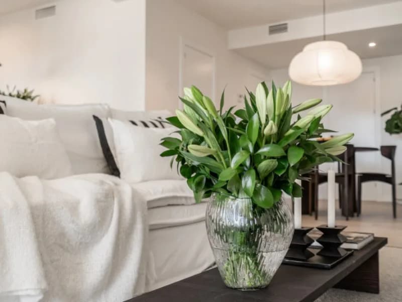 2 Bedroom Ground Floor Apartment for Sale in Benahavís, Málaga - Image 9