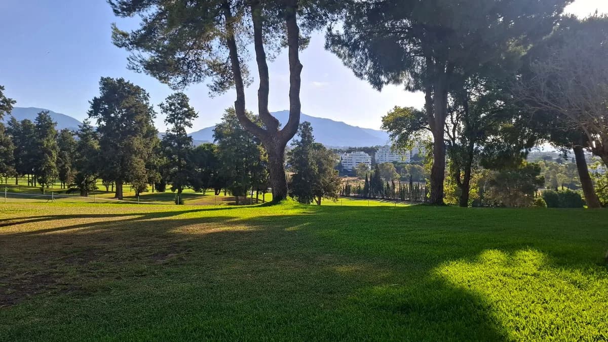 1 Bedroom Ground Floor Apartment for Sale in Atalaya, Málaga - Image 4