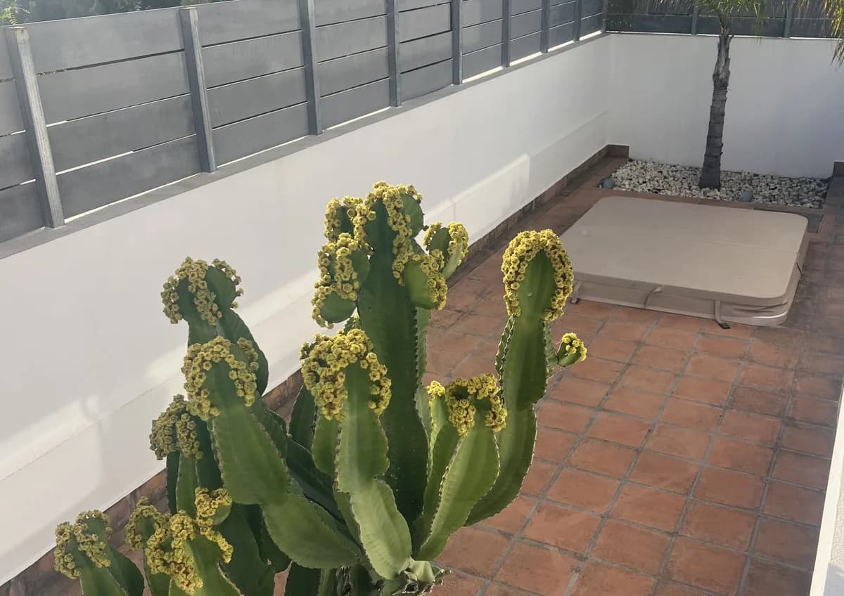 2 Bedroom Ground Floor Apartment for Sale in Estepona, Málaga - Image 6