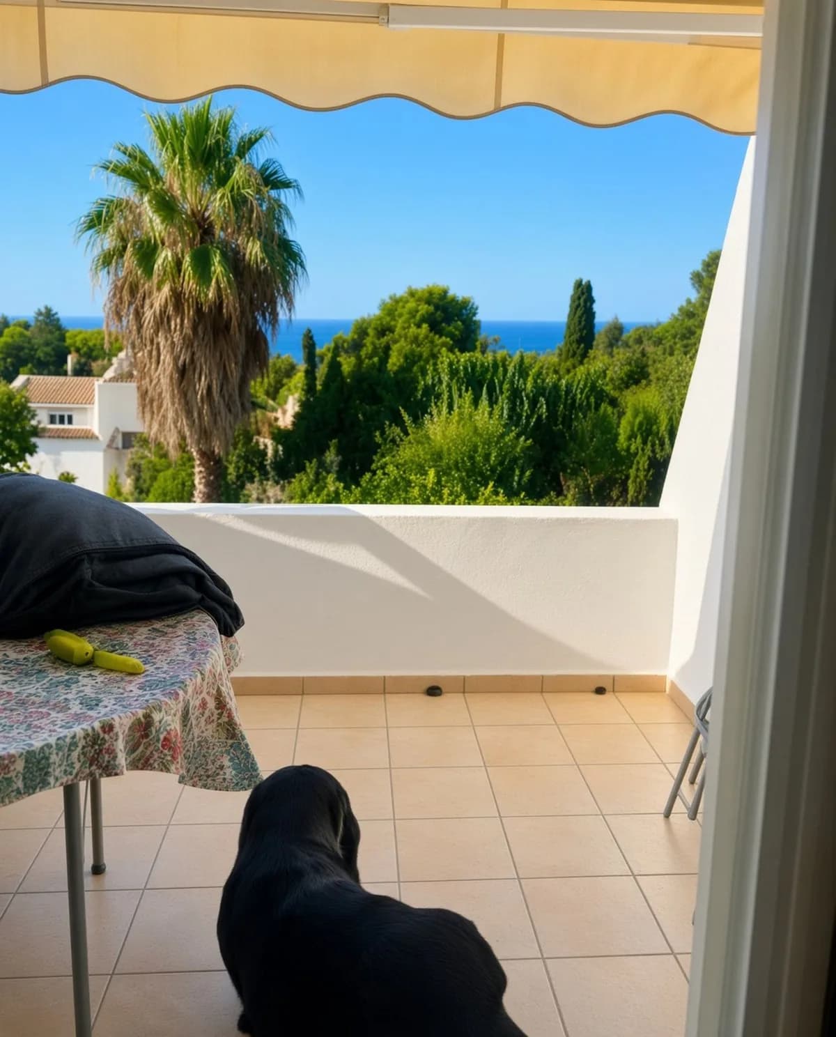 Middle Floor Studio for Sale in Estepona, Málaga - Image 9