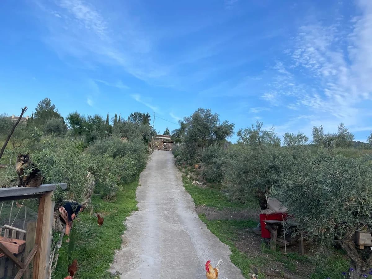 3 Bedroom Finca - Cortijo for Sale in Monda, Málaga - Image 2