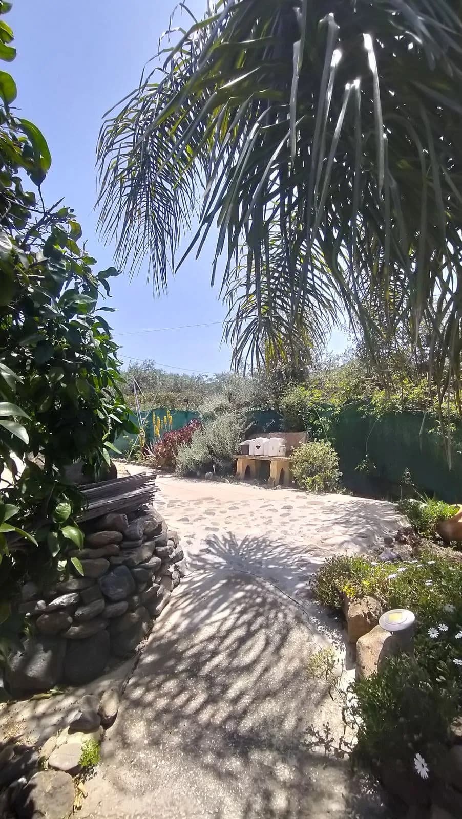 3 Bedroom Finca - Cortijo for Sale in Monda, Málaga - Image 3