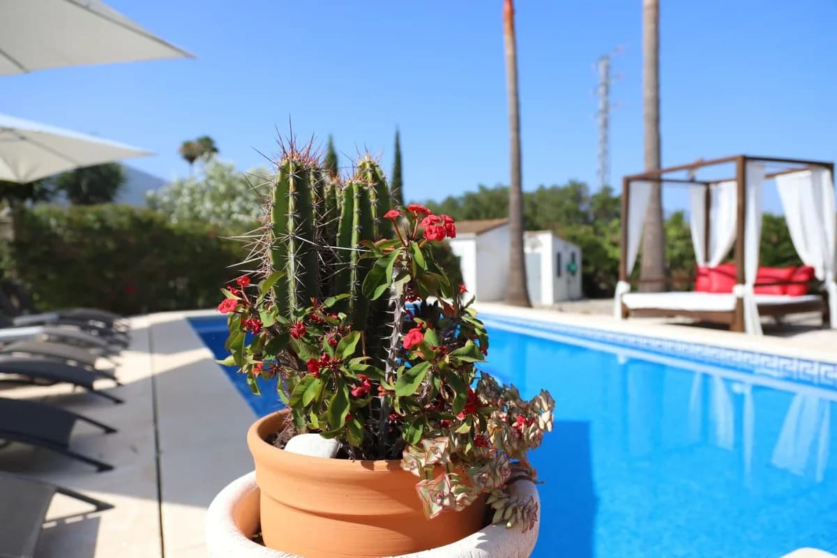 5 Bedroom Detached Villa for Sale in Alhaurín el Grande, Málaga - Image 4