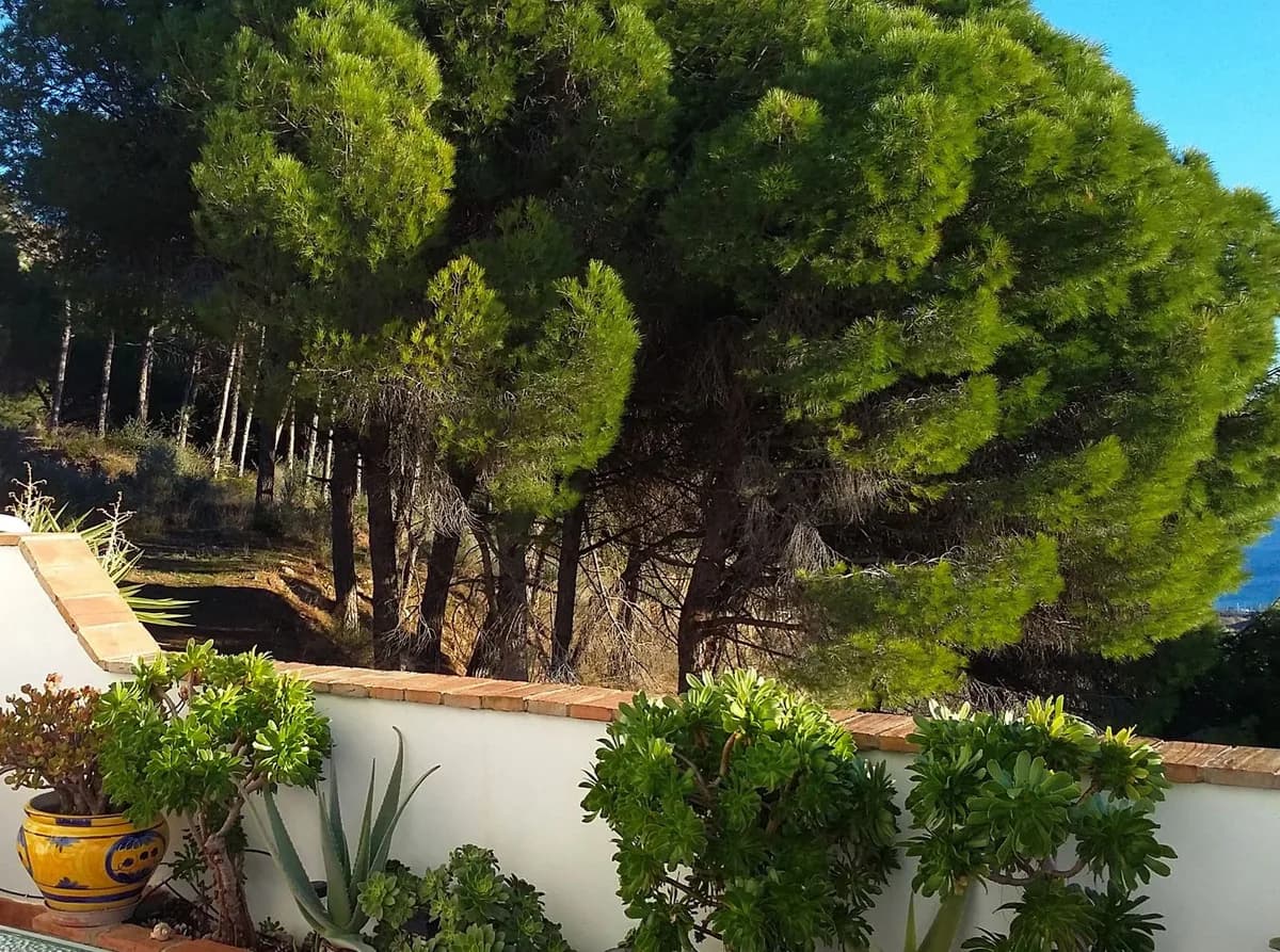 3 Bedroom Townhouse for Sale in Mijas, Málaga - Image 7