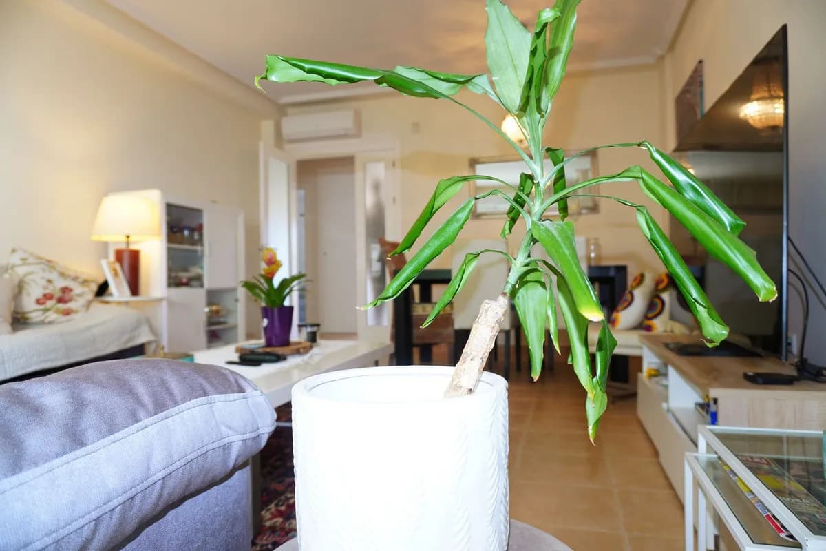 4 Bedroom Townhouse for Sale in Mijas, Málaga - Image 8