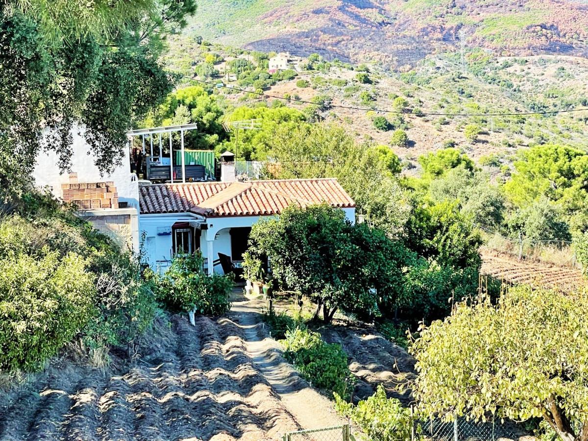 Villa Detached in Estepona