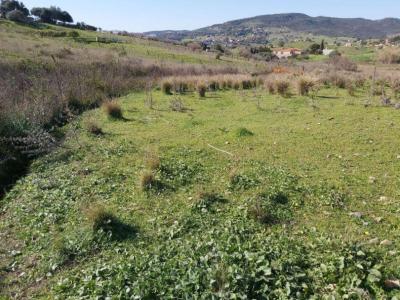 R4141765, Plot Land in Estepona