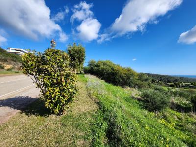 R4223650, Plot Residential in Sotogrande Alto