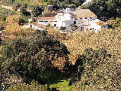 R4246165, Villa Finca in La Mairena